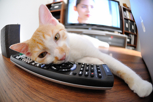 爱游戏官方网站-_运动员技能大师课：传授实战经验_，运动员技术能力及其训练