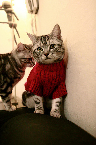 爱游戏 电竞-“未来赛车:新能源动力带来的速度革命”,未来能源汽车