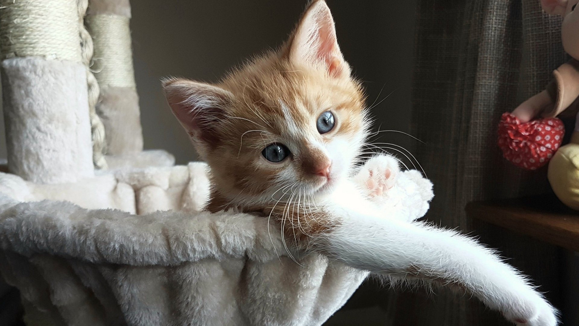 爱游戏下载-“未来之星全国青少年足球大赛火爆进行,精彩纷呈”,未来之星全国青少年艺术展演