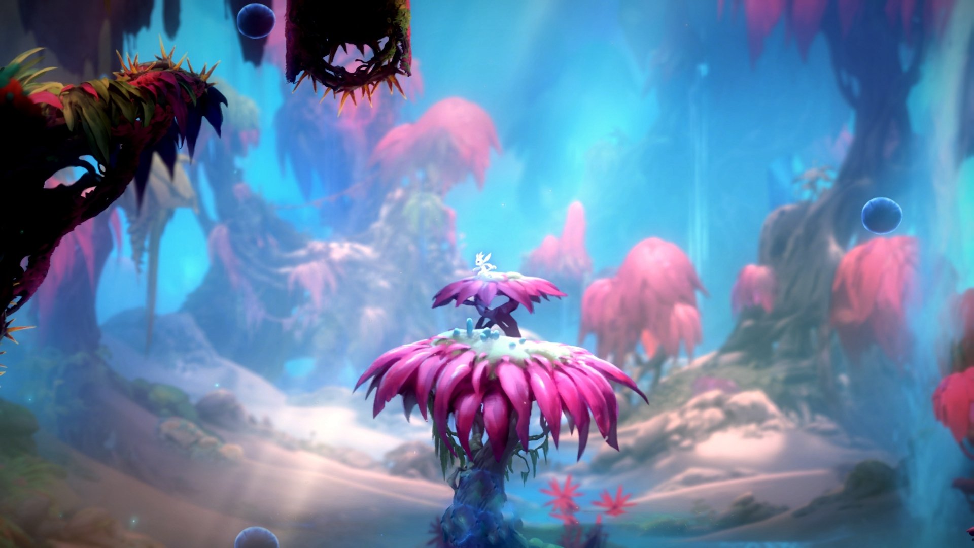 AYX SPORTS-全国排球联赛明星赛，璀璨群星点亮赛场，全国排球联赛时间