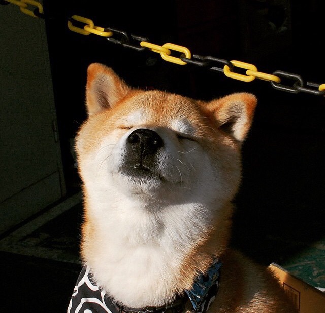 爱游戏体育(AYX)官方APP下载-全国跆拳道冠军挑战赛,技艺与勇气的试炼,全国跆拳道比赛实战视频