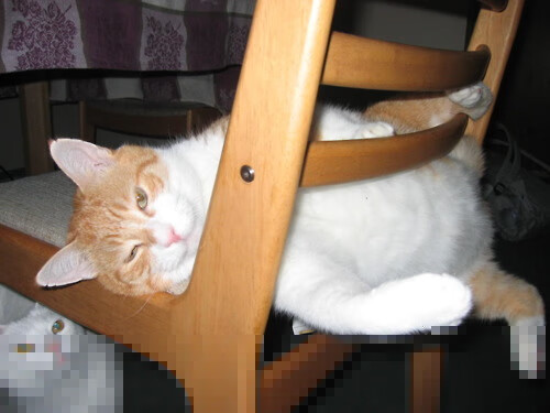 爱游戏体育-尤文图斯采用紧逼防守，逼迫对手失误取胜，尤文图斯官宣