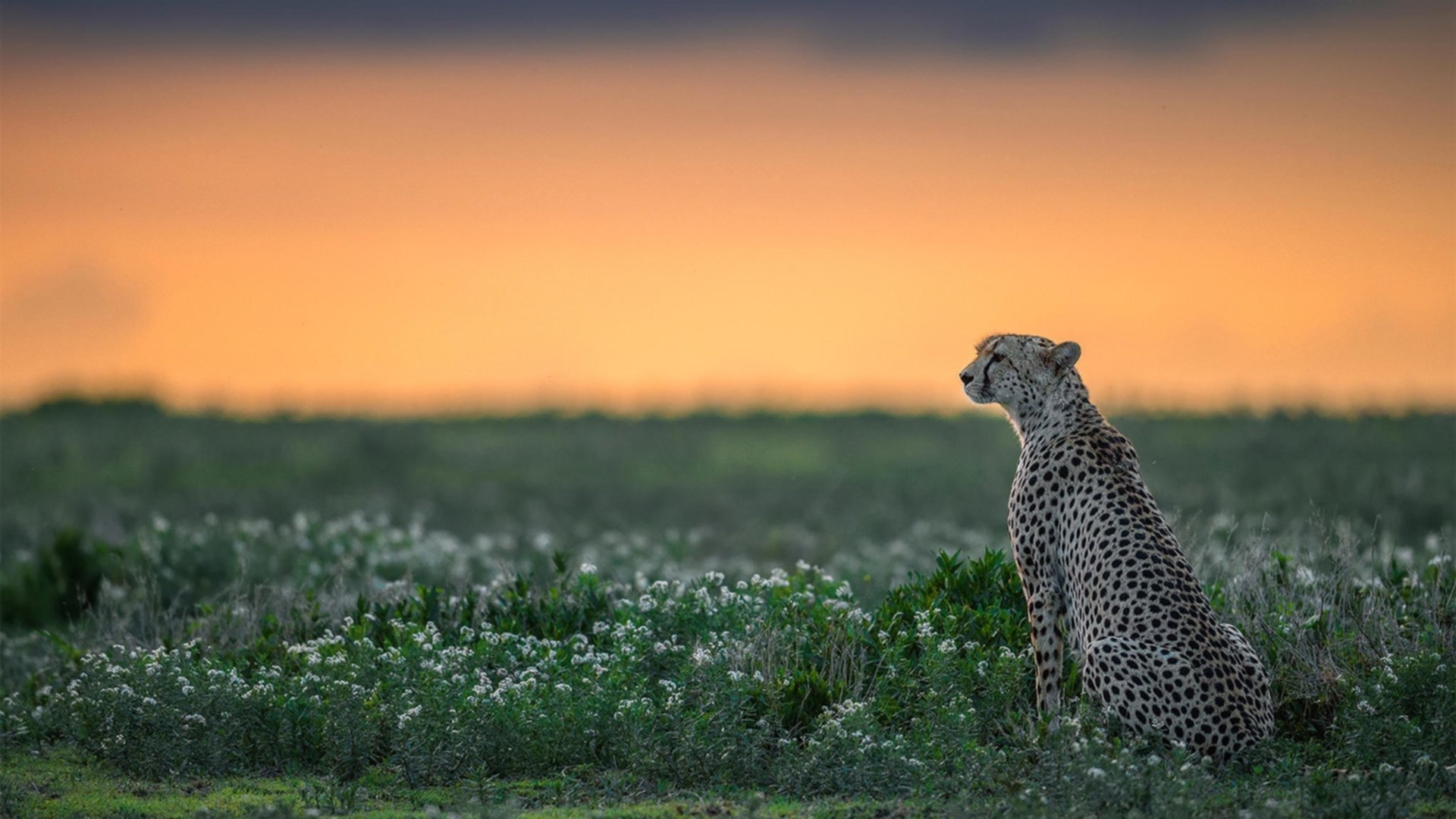 爱游戏app下载-国家队集训基地优化升级,提升训练条件,国家队集训在哪