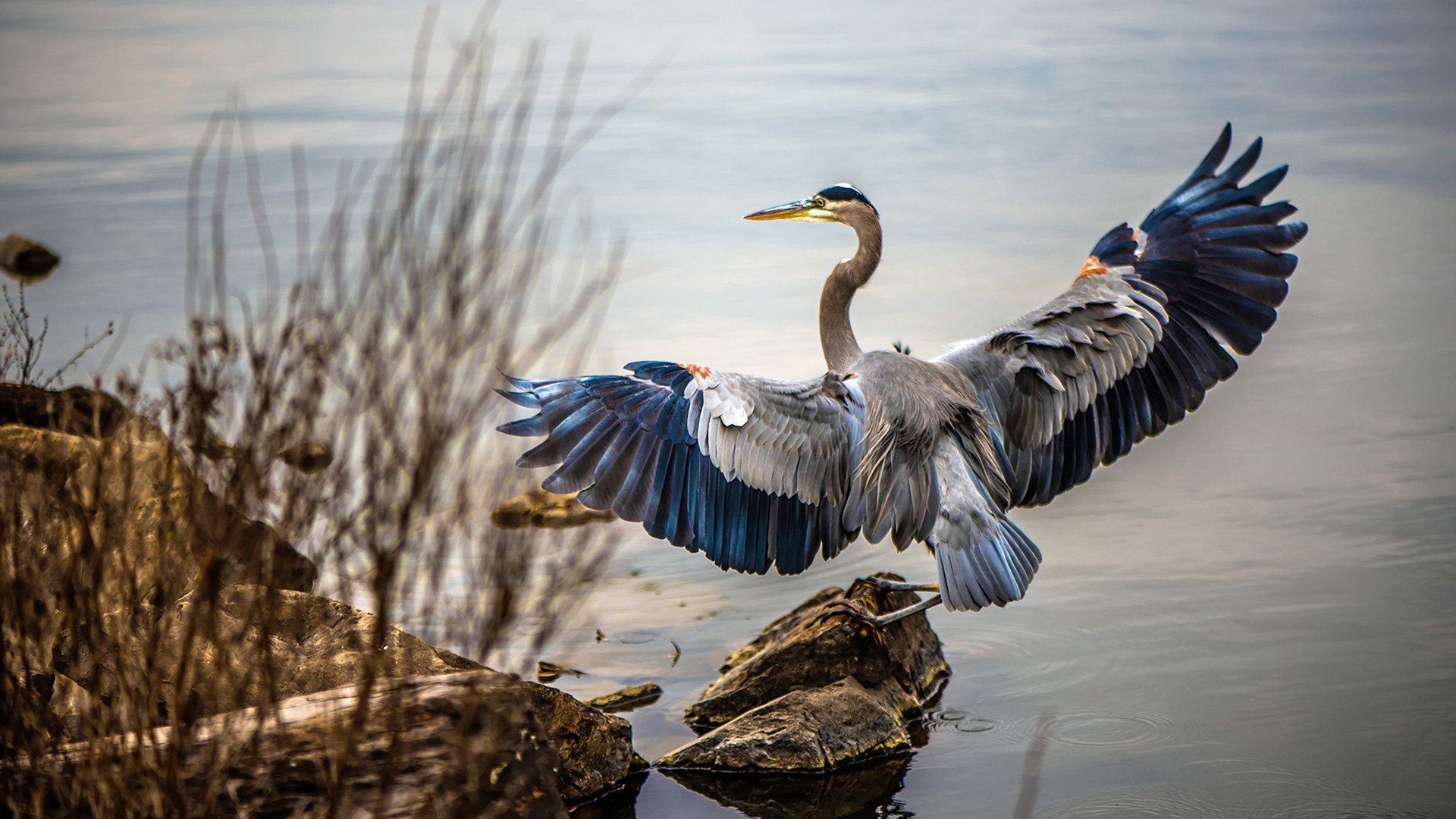爱游戏官方-国际冲浪电影节,展现海上运动的动感魅力,冲浪题材电影