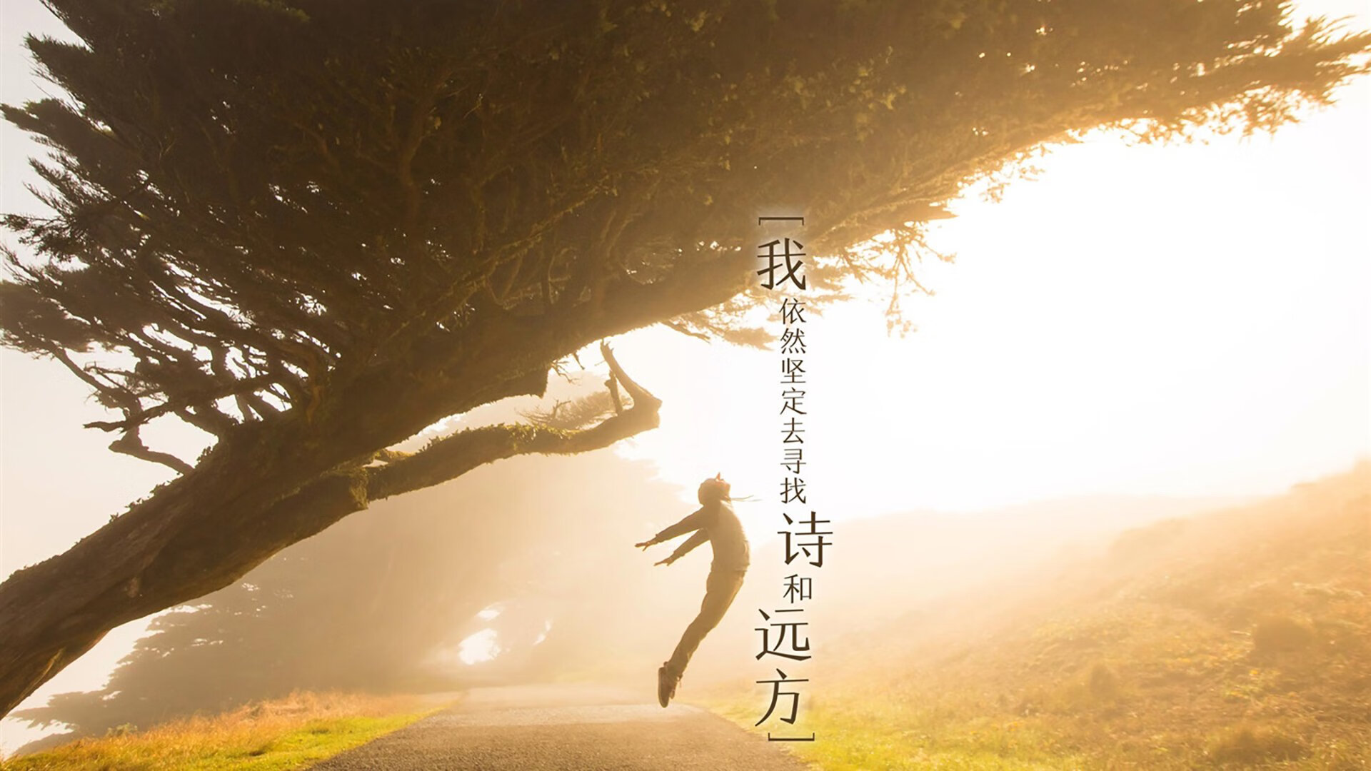 AYX体育官网-德甲引领欧洲足球新风尚，创新战术层出不穷，德甲intro