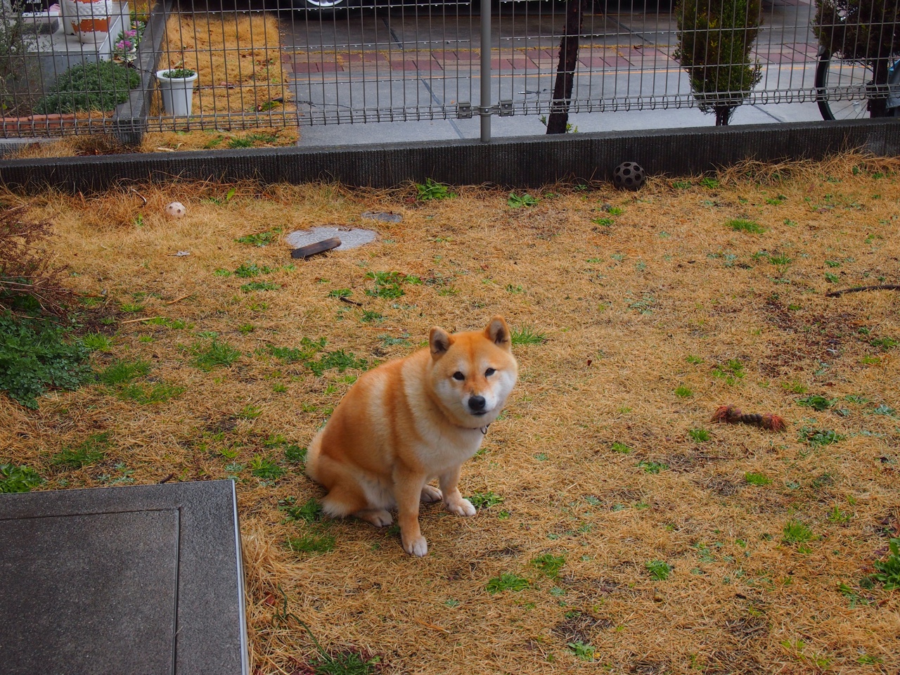 爱游戏app-夜空下的高空秋千体验，挑战勇气的极限，高空秋千在哪里