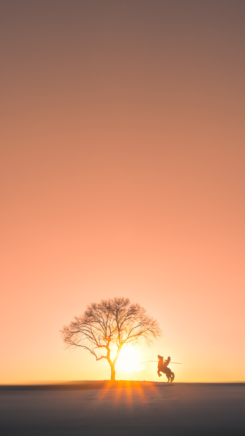 爱游戏官方-意甲赛场,新星爆发,精彩瞬间屡屡出现,意甲新赛季