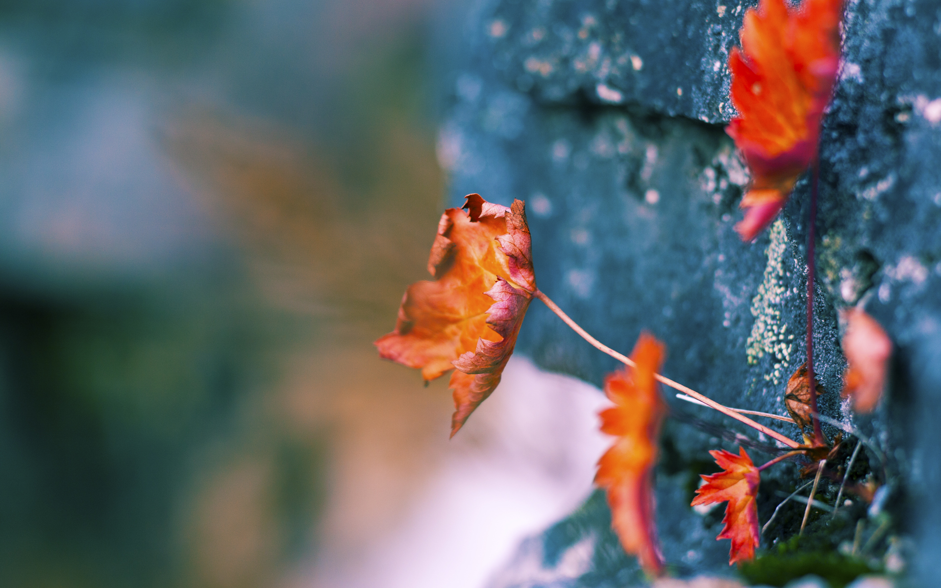 爱游戏体育(AYX)官方APP下载-布鲁诺·卡博克洛在巴黎奥运会小组赛中展现全面技术,布鲁诺-卡波科洛