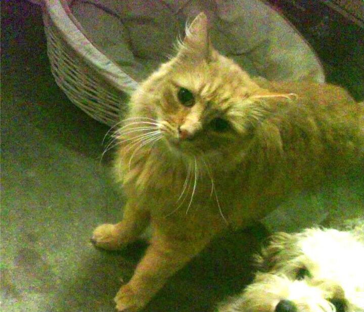 爱游戏体育平台-未来热门车手：谁可能成新一代焦点？，未来车介绍