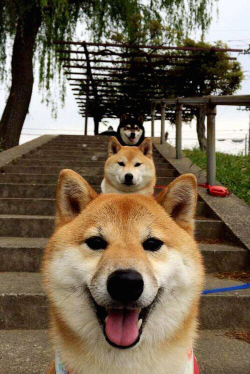 AYX体育-2024年全国女子象棋锦标赛在上海落幕,於之莹蝉联冠军,第四届女子象棋名人赛