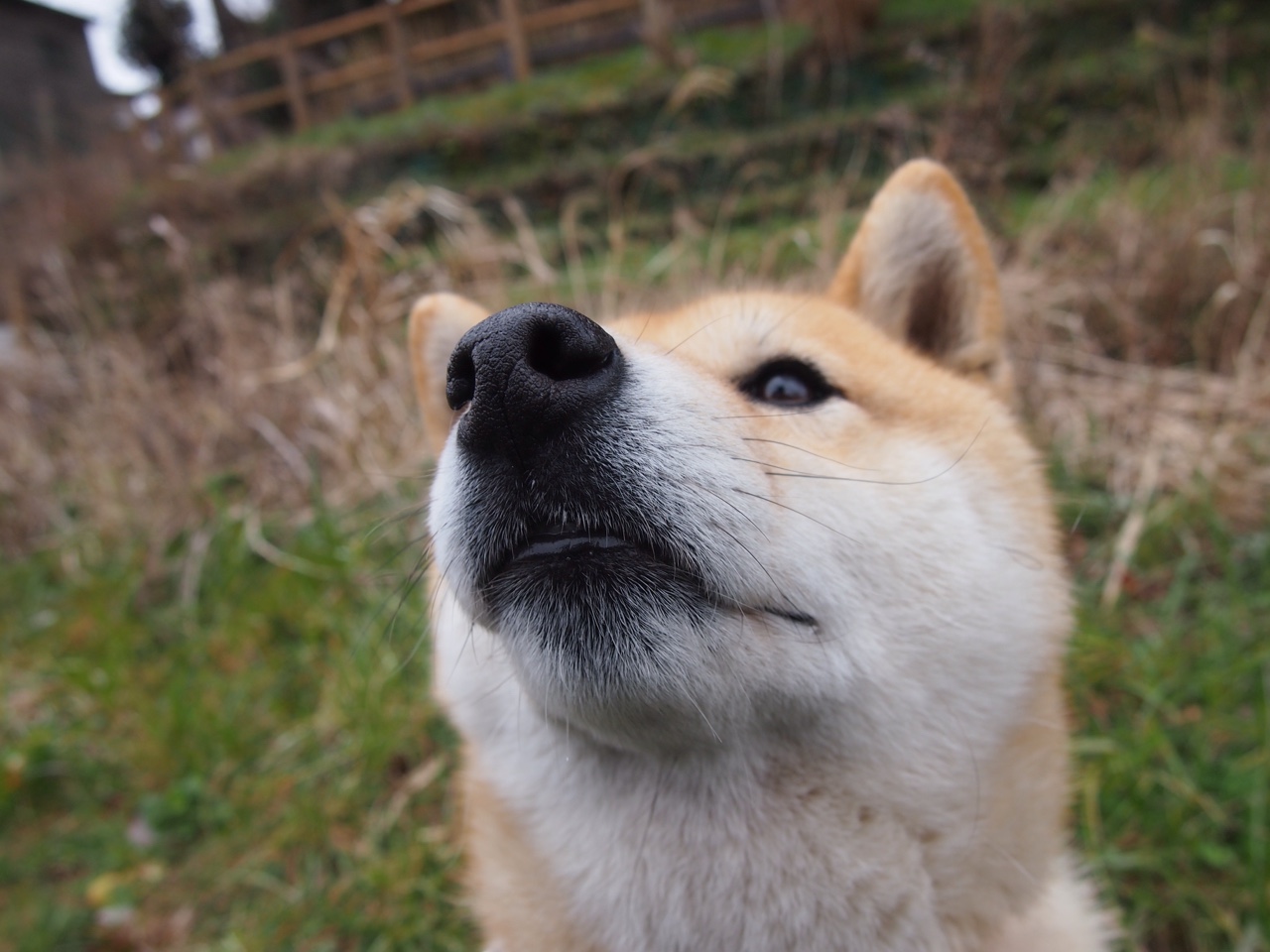 AYX体育-2024年全国女子象棋锦标赛在上海落幕,於之莹蝉联冠军,第四届女子象棋名人赛