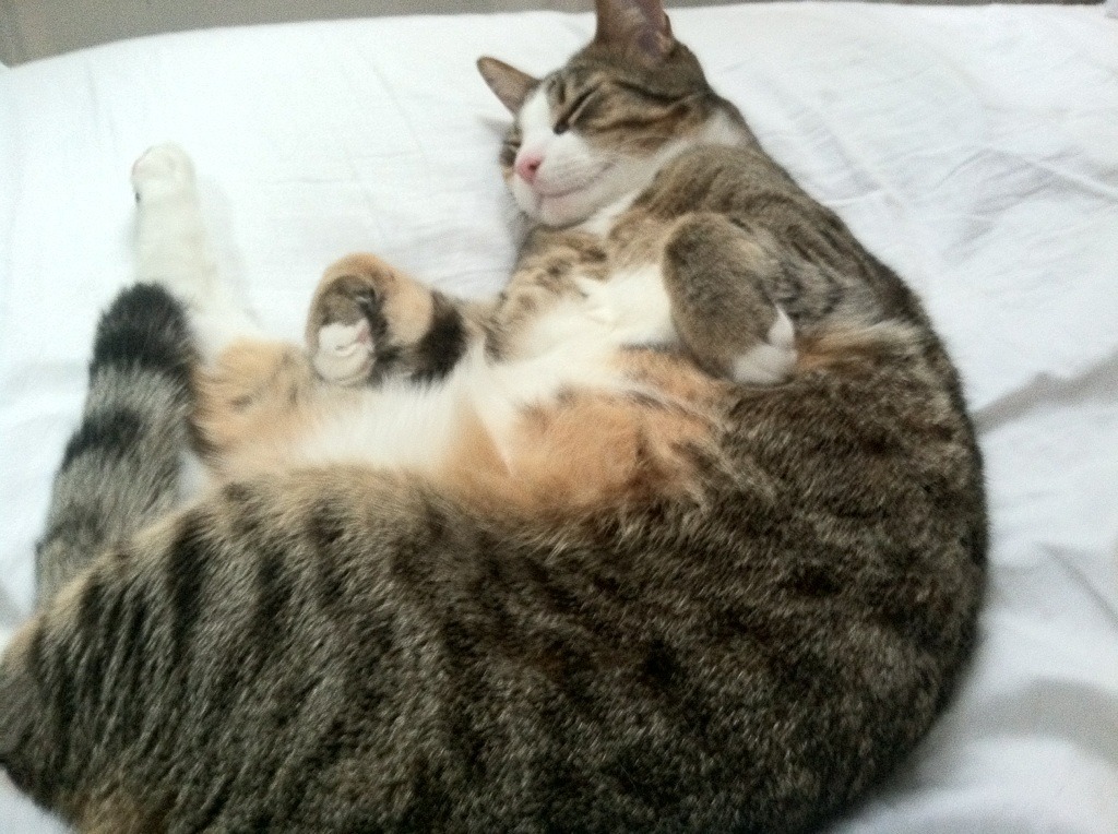 爱游戏综合娱乐-东亚球队迎战西亚对手,一触即发激烈对决,东亚和西亚足球