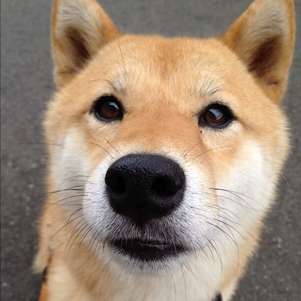 -边远地区足球基础设施逐步完善,普及率大幅提升,足球边缘