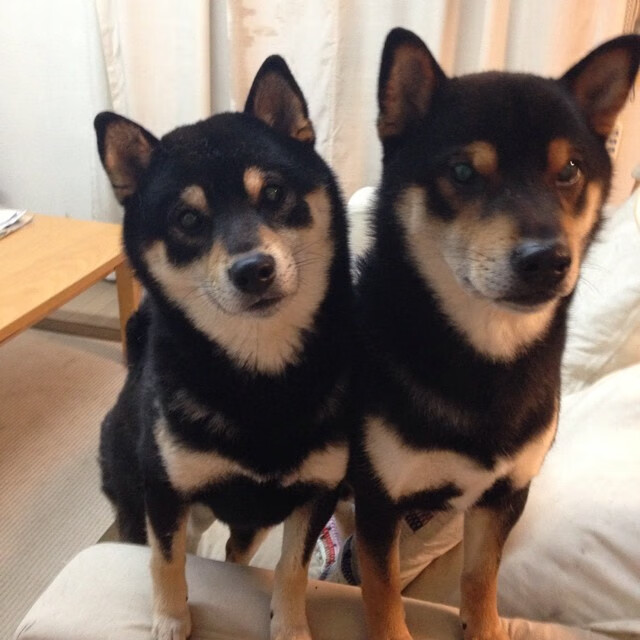 爱游戏app-利用空档成功进球,球队实力尽显一览无余,足球空档接球的要点