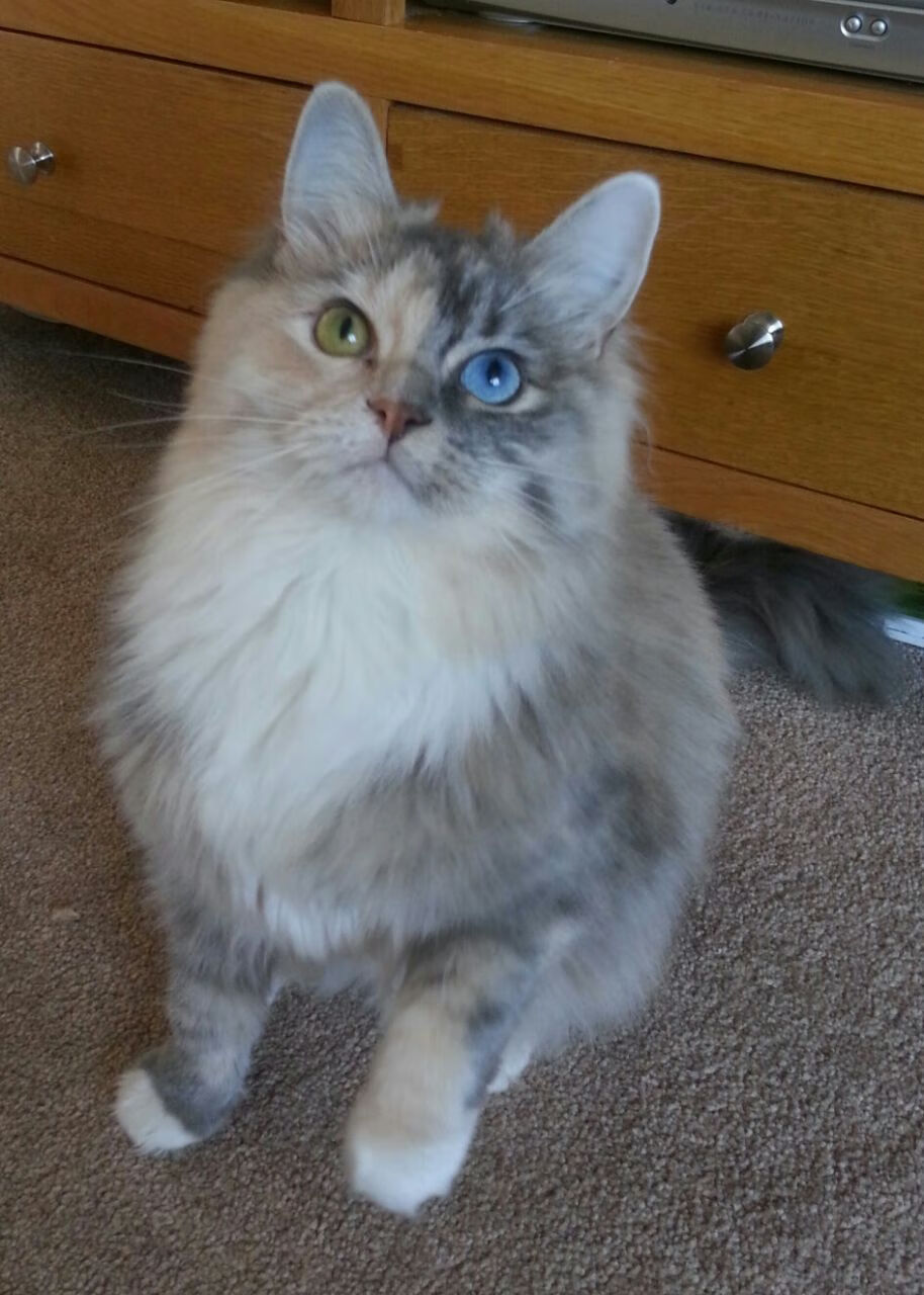 爱游戏官方-普拉提与功能性训练结合，提升身体素质，普拉提提高性功能吗