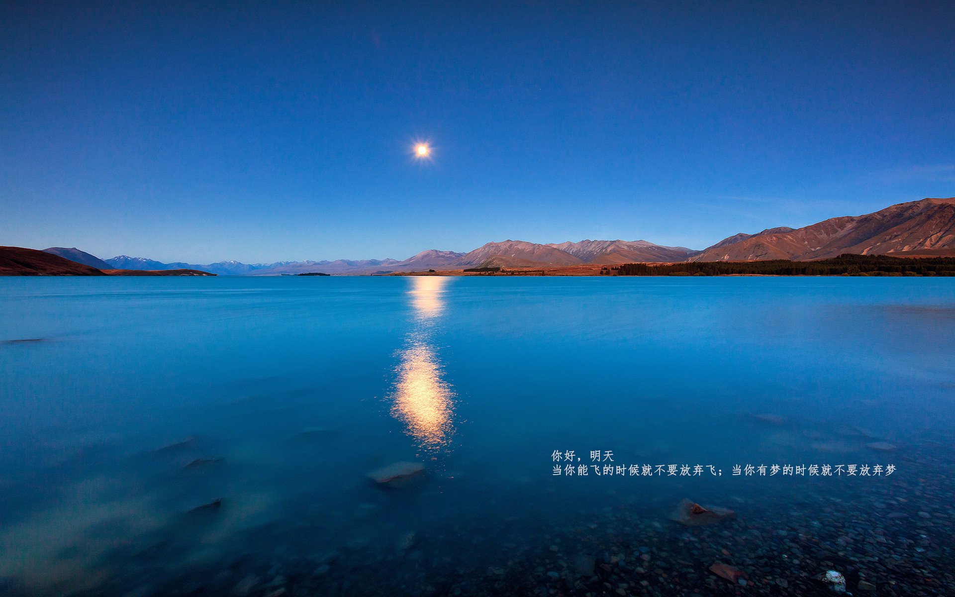 爱游戏 电竞-现场回顾:上海比赛火爆一触即发,2022上海赛事