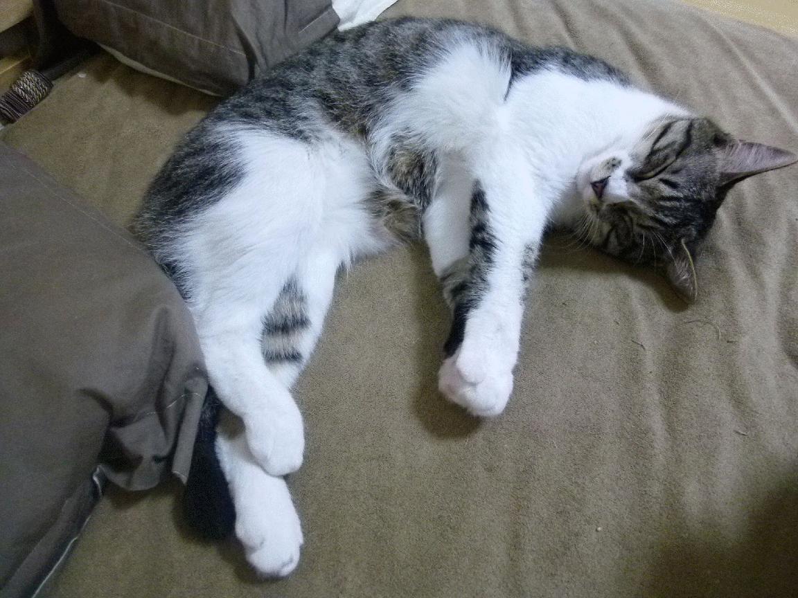 爱游戏 电竞-现场回顾:上海比赛火爆一触即发,2022上海赛事