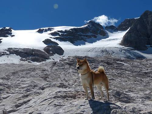 -法甲球队融合GPS+心率数据提升战术区域覆盖度