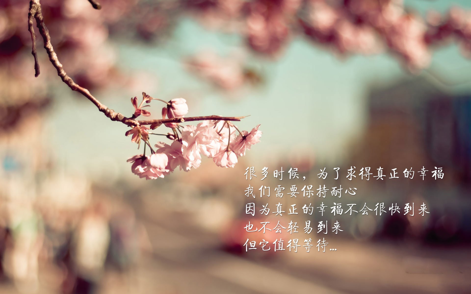 爱游戏体育官方网站-2023年乒乓球世界杯即将开赛,赛事热点分析,乒乓球世界杯2023在哪