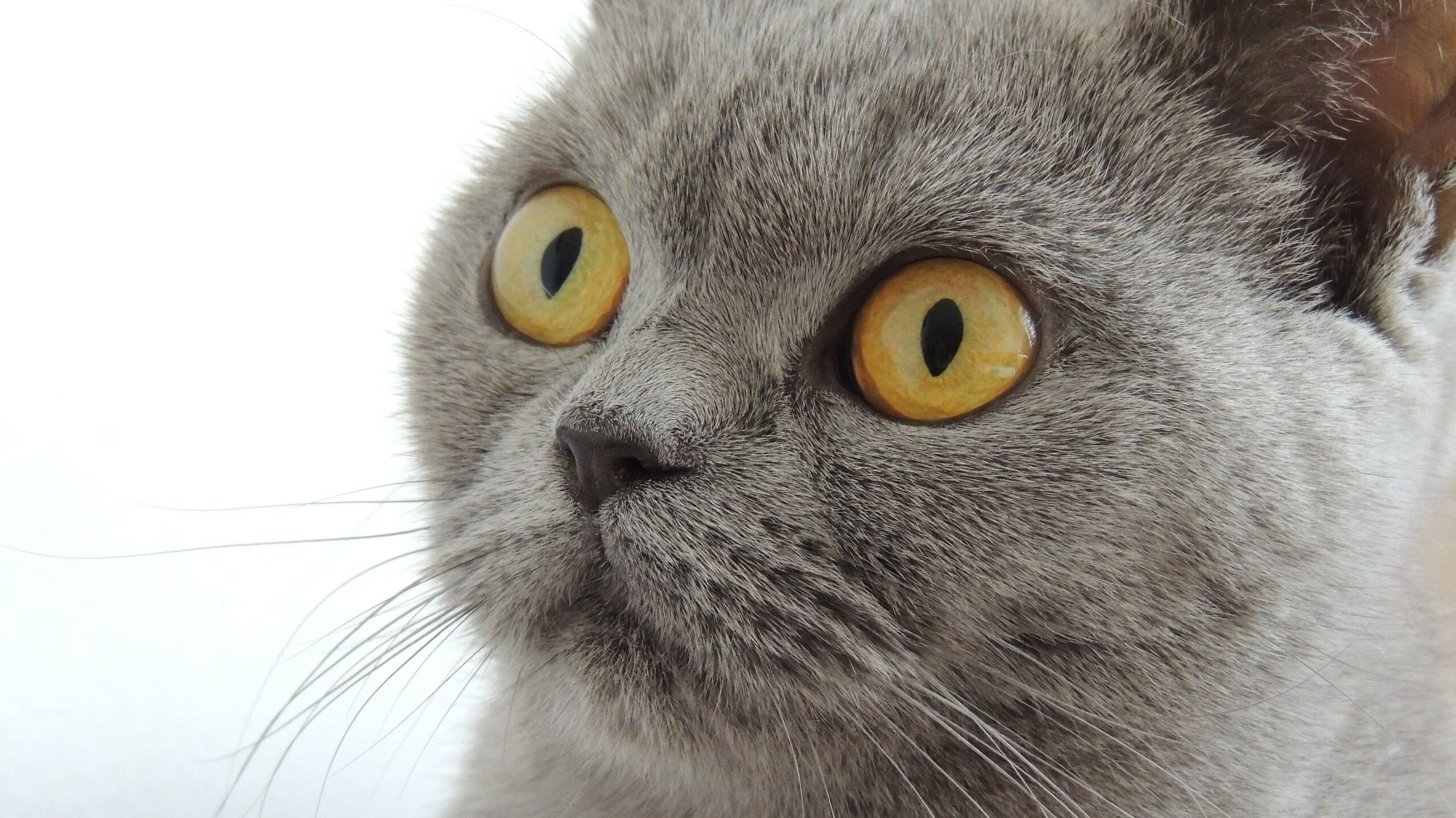 AYX体育-进攻节奏与得分效率是否存在拐点关系,进攻效率是什么意思