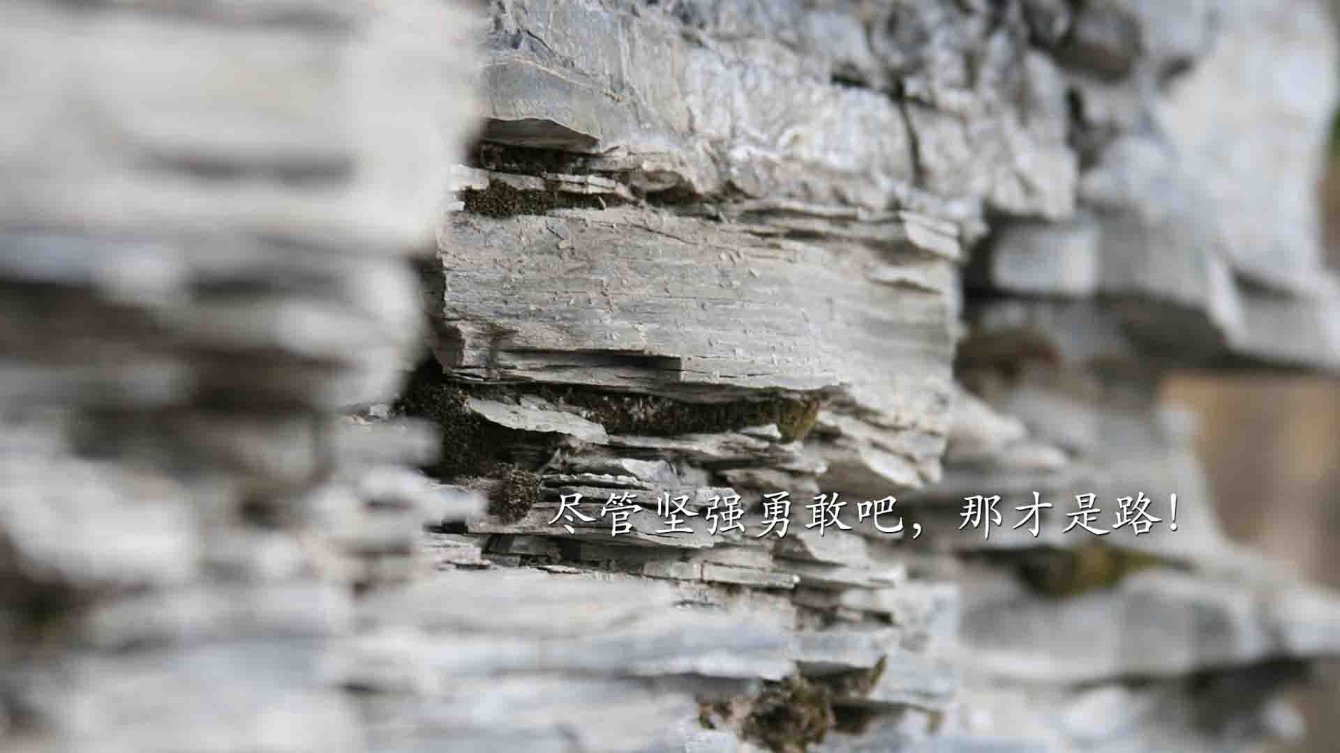 爱游戏中国官方网站平台-“诺克·达维德·彼得森带领南非队逆袭,创造辉煌”