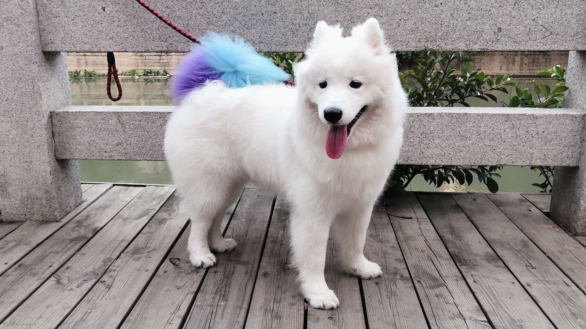 爱游戏官方网站-体育道德引发广泛讨论,论体育道德的重要性