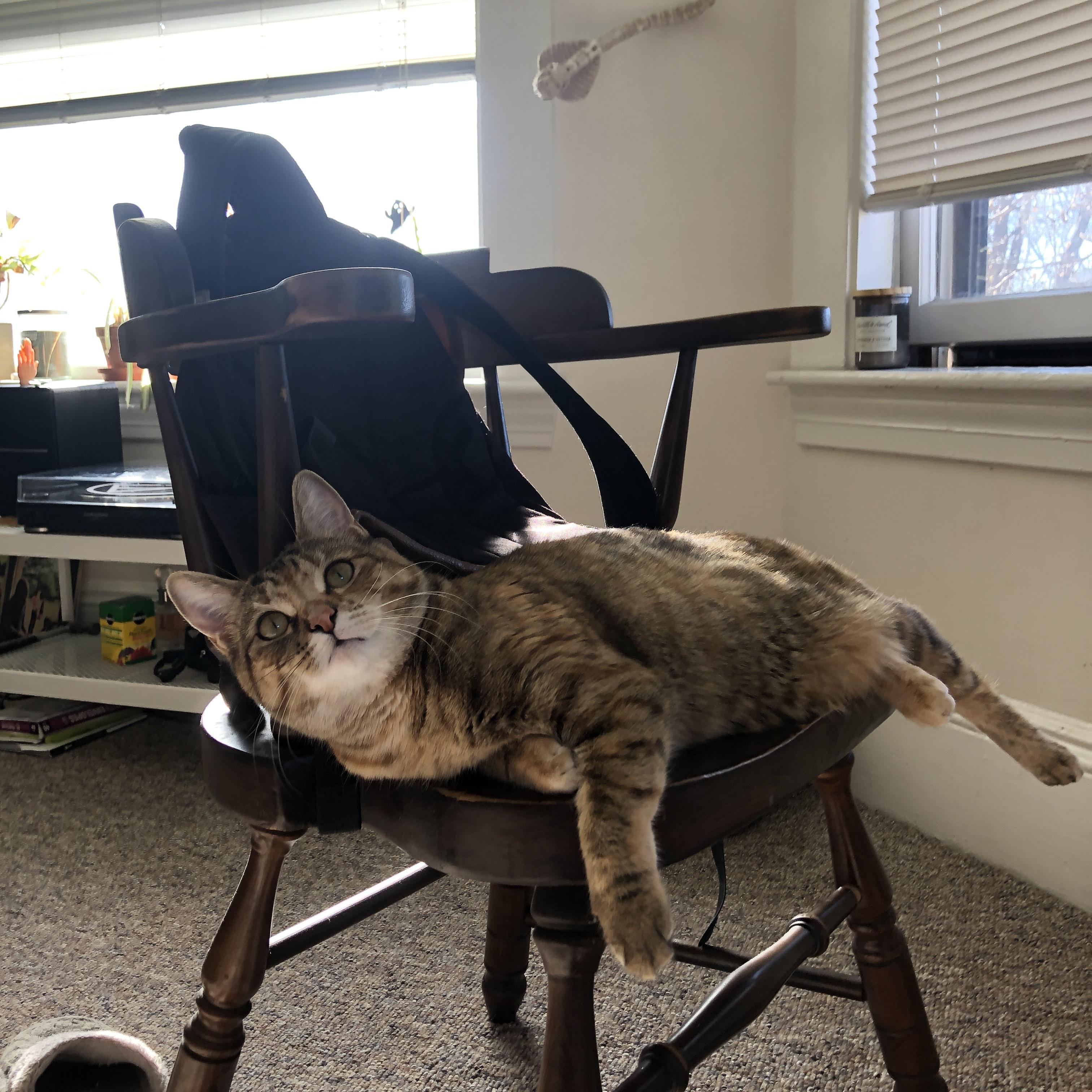 爱游戏app-各大足球俱乐部推出粉丝互动平台，增强用户粘性，足球俱乐部粉丝数