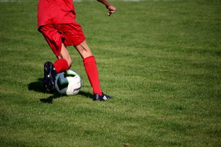 爱游戏官方网站-篮球专项技能训练标准体系建设，篮球专项训练方法和手段