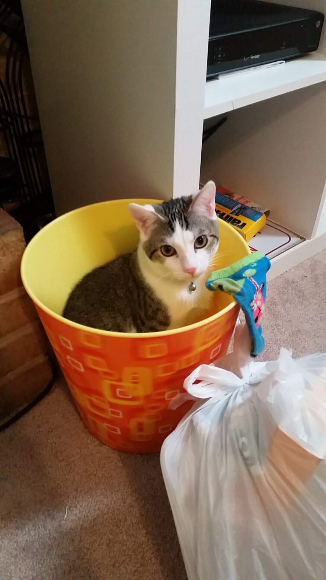 爱游戏体育app-法甲青训加入语言表达测试培养组织型中场沟通力