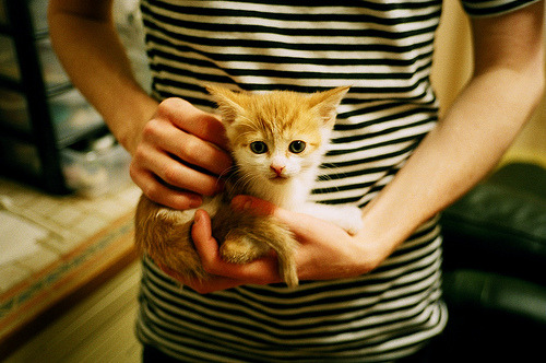 AYX体育官网-西甲球队利用热区分析调整防守策略,西甲热身赛有直播吗