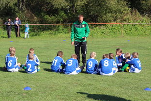 AYX体育-西甲后腰双屏战术在比赛分水岭期效果分析,双后腰阵容