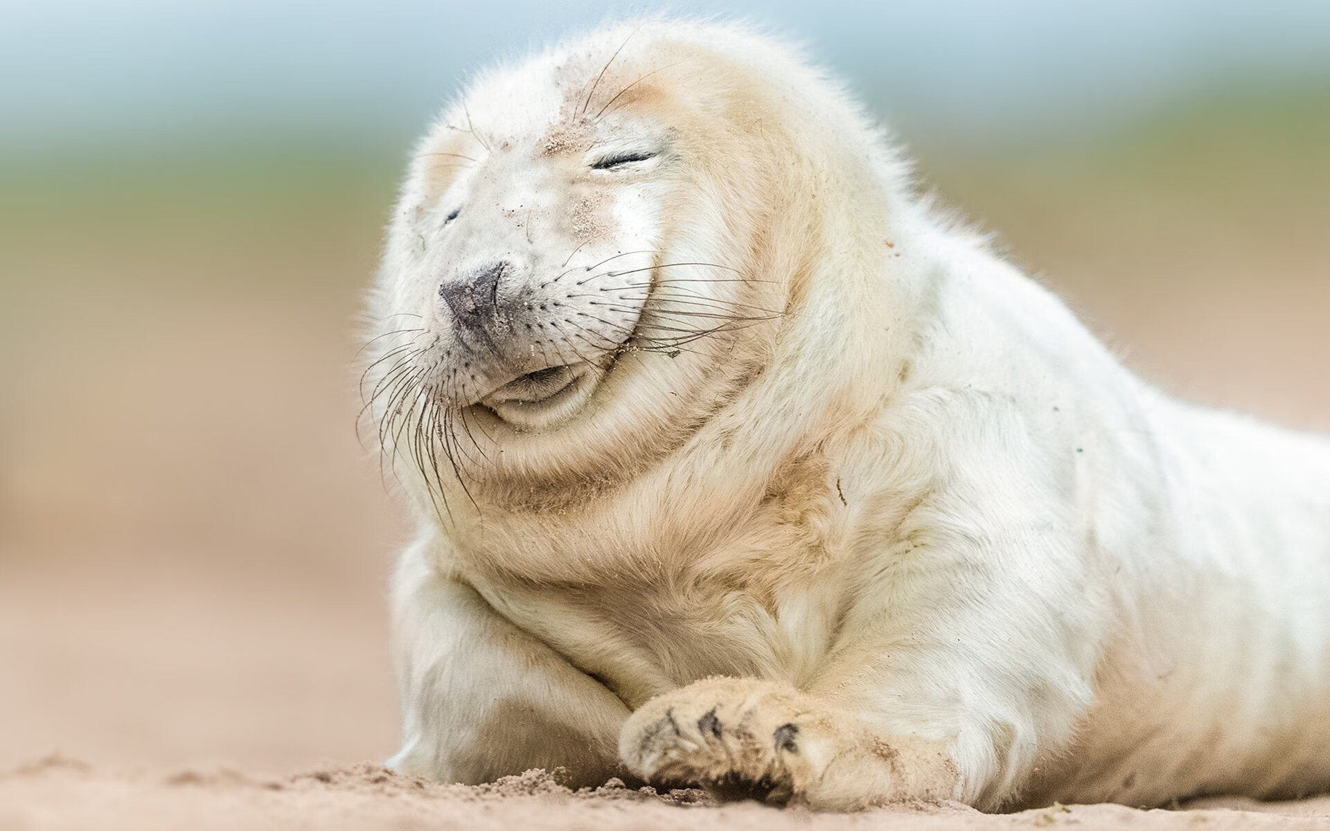 爱游戏体育-新闻中心发布体育视频内容版权声明与使用规定，体育剪辑短视频算侵权吗