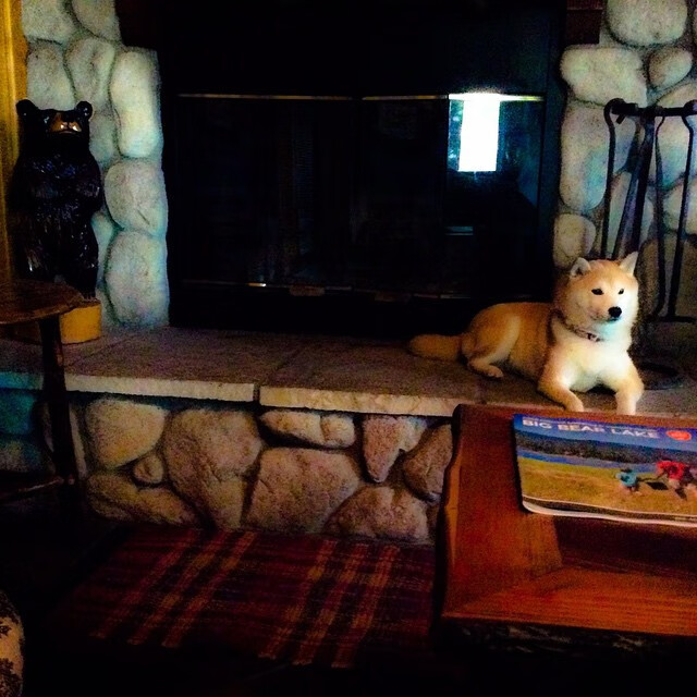 爱游戏中国官方登录入口网站-阿伦·斯密斯:带领全黑队进入新战术时代,进攻组织日渐成熟,阿伦柯斯米斯基