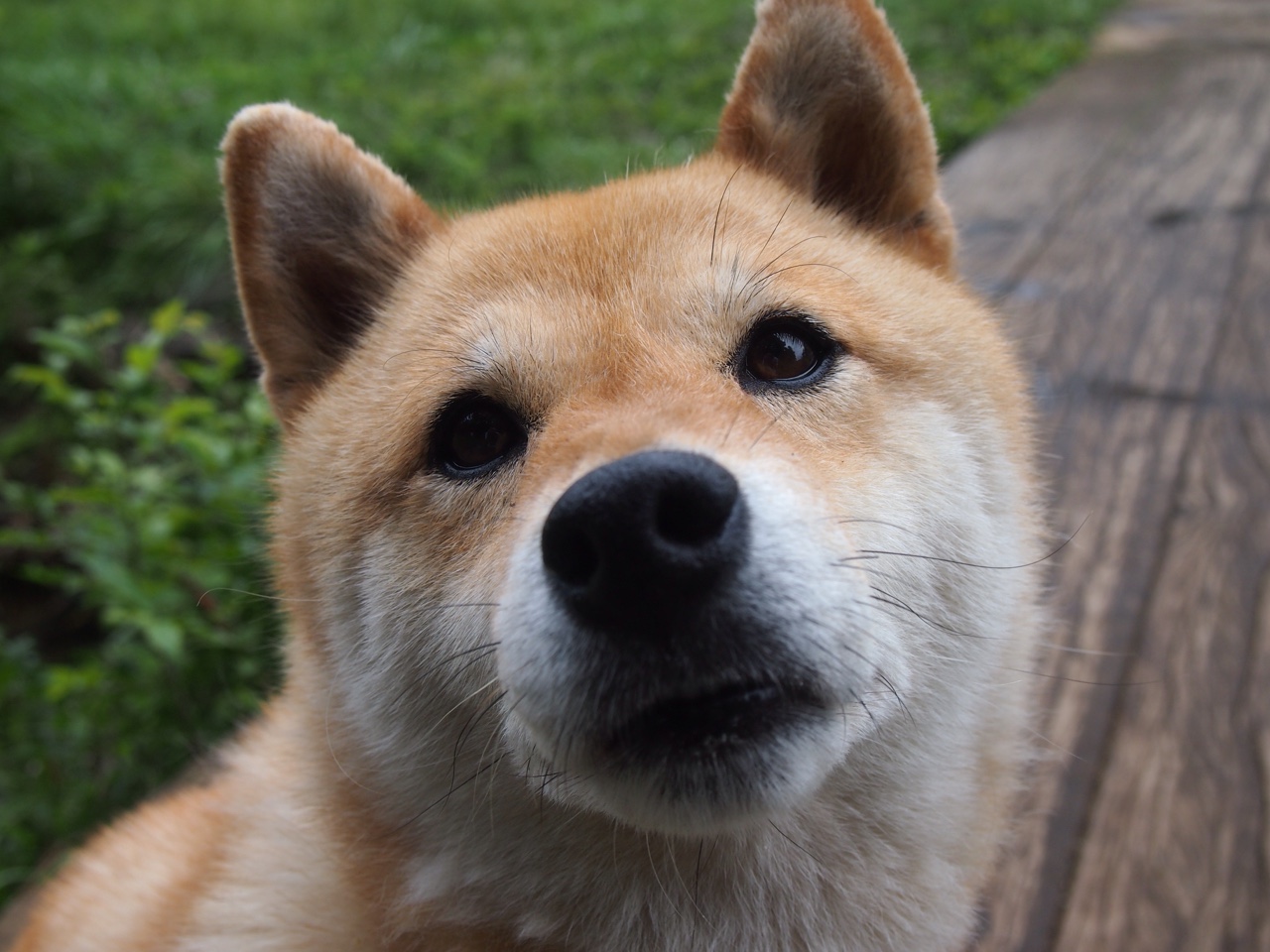 AIYOUXI.COM-国家队实力提升困难，国家队改善