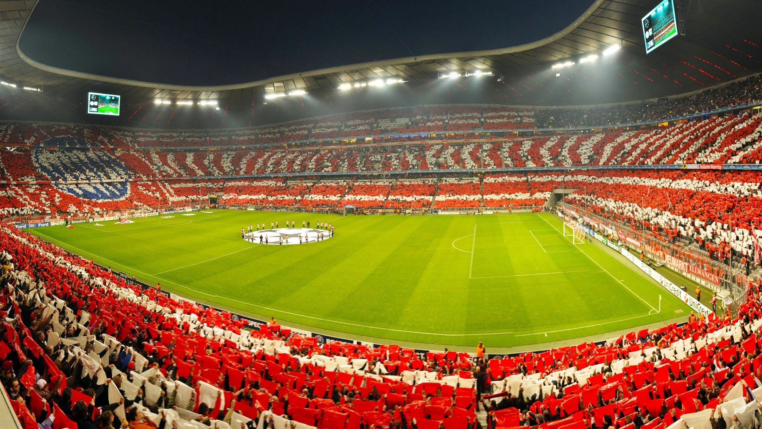 华丽女足竞技,展现巾帼英姿,女足之花